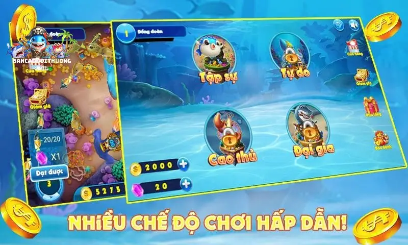 Cách chọn chế độ bắn cá tối ưu lợi nhuận tốt nhất khi chơi 2 Các loại chế độ bắn cá phổ biến nhất hiện nay